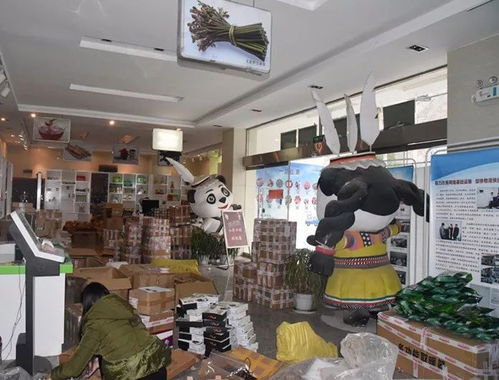 整合規范物流快遞，打造電商生態體系下的普通貨物倉儲服務新格局